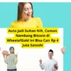 Auto Jadi Sultan Nih, Cuman Nambang Bitcoin di WheelofGold Ini Bisa Cair Rp 4 Juta Satoshi