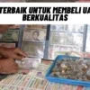 Tempat Terbaik untuk Membeli Uang Kuno Berkualitas, Simak Penjelasannya Disini