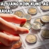 Begini Nih Cara Jual Uang Koin Kuno Agar Laku Harga Mahal, Ikuti 5 Langkah Ini!