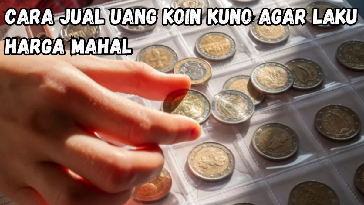 Begini Nih Cara Jual Uang Koin Kuno Agar Laku Harga Mahal, Ikuti 5 Langkah Ini!