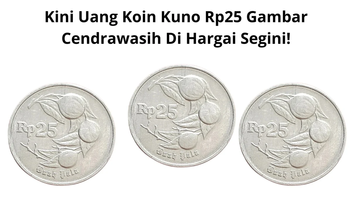 Kini Uang Koin Kuno Rp25 Gambar Cendrawasih Di Hargai Segini!