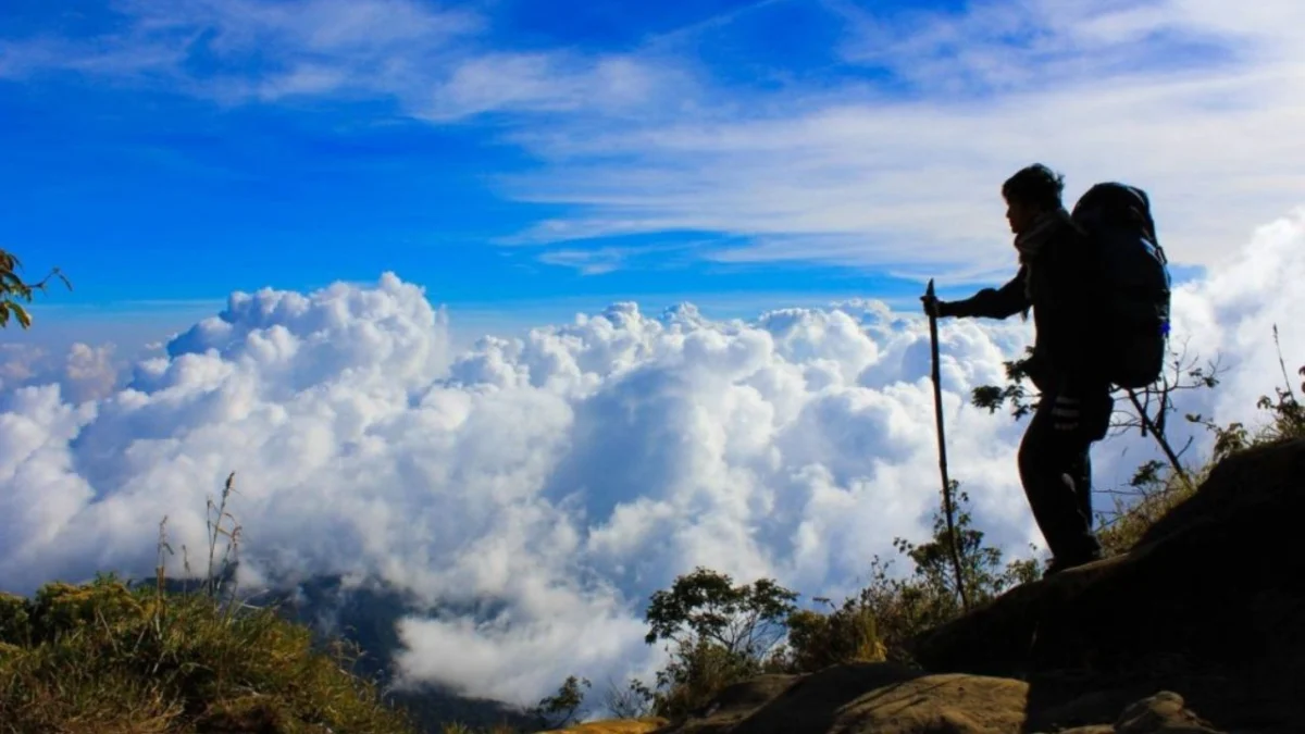 Ketahui Inilah Waktu Terbaik untuk Mendaki Gunung di Indonesia