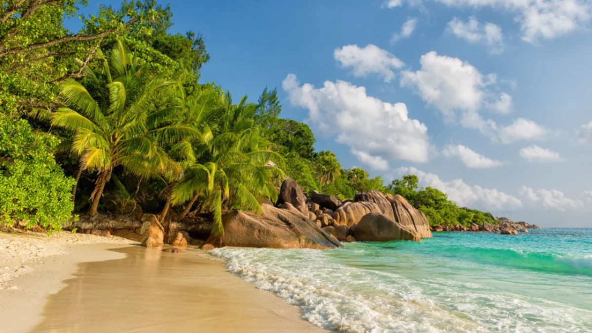 Pantai-Pantai Terindah di Dunia, Cocok Jadi Objek Wisata Ketika Liburan