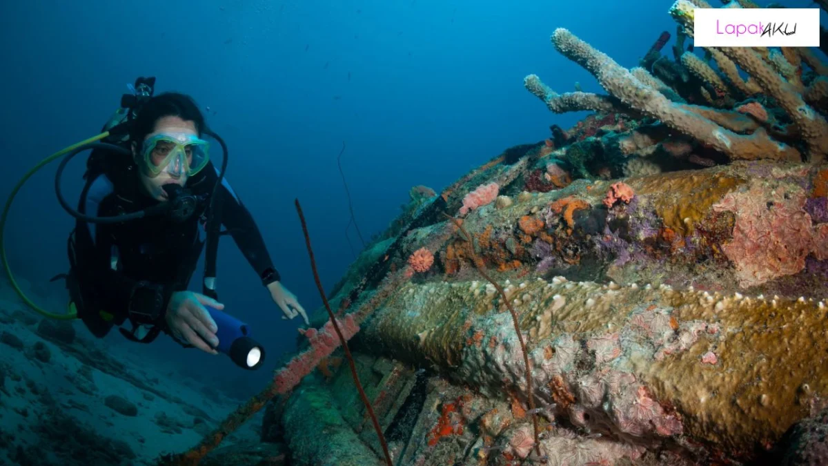 Kepulauan Raja Ampat: Bawah Laut yang Menyimpan Rahasia Harta Karun