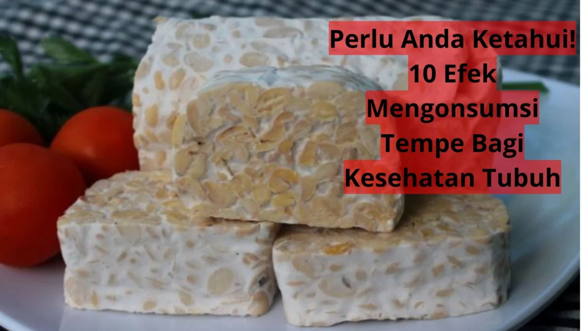 Perlu Anda Ketahui! 10 Efek Mengonsumsi Tempe Bagi Kesehatan Tubuh