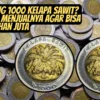 Punya Uang 1000 Kelapa Sawit? Ini 5 Cara Menjualnya Agar Bisa Laku Puluhan Juta