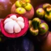 Deretan Manfaat Dari Kulit Buah Manggis Untuk Kesehatan