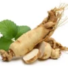 Inilah Manfaat Dari Tumbuhan Ginseng Untuk Pengobatan Tradisional Selama Ribuan Tahun