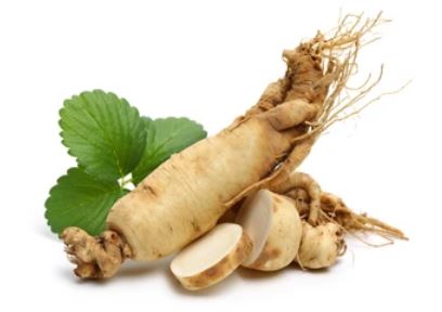 Inilah Manfaat Dari Tumbuhan Ginseng Untuk Pengobatan Tradisional Selama Ribuan Tahun