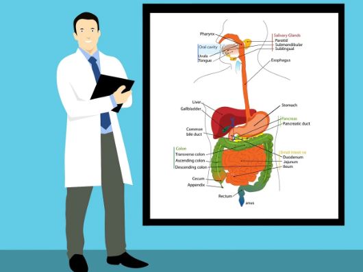 Segera Cegah Sebelum Kena, Begini Tips Mencegah Sakit Kanker