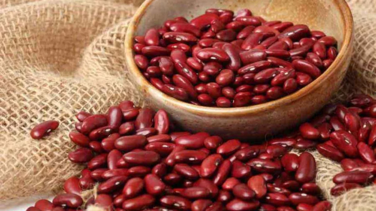 Kacang Merah sebagai Sumber Protein Nabati