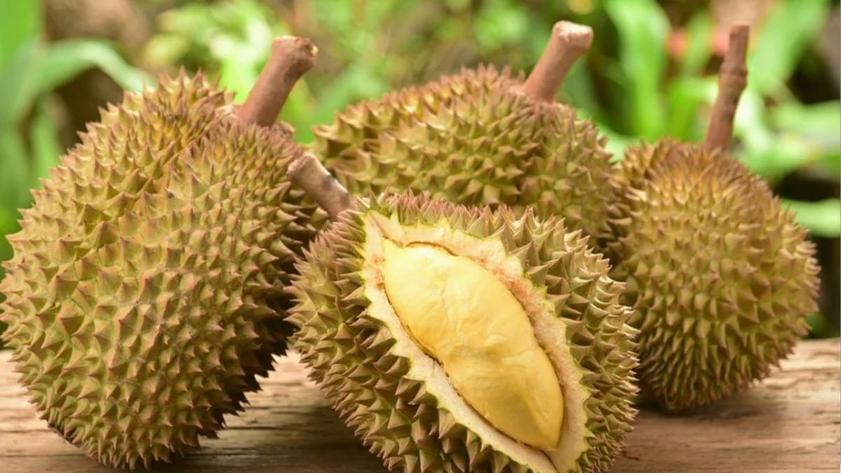 5 Manfaat Buah Durian bagi Kesehatan, Bisa Turunkan Kolesterol!