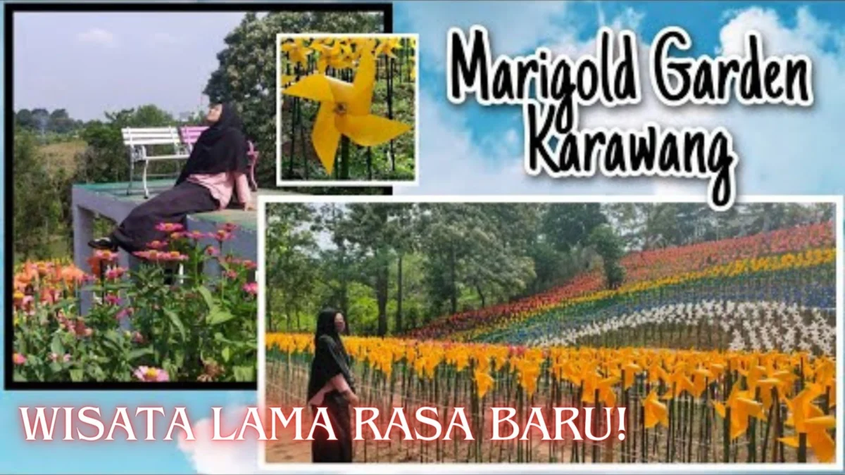 Wisata Lama Rasa Baru! Explore Keindahan Taman Kincir New Marigold Garden di Karawang