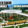 Artala Agroeduwisata: Destinasi Wisata Terbaru yang Menyegarkan di Cipanas Ciajur 2023!