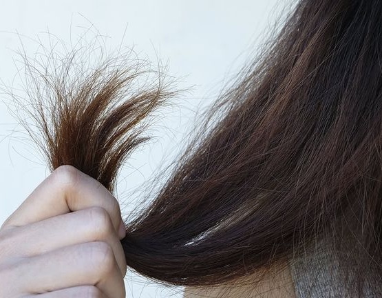 Cara Mencegah Rambut Kering, Begini Tanda Tandanya!