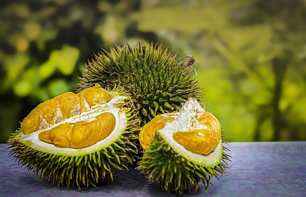 Inilah Alasan Mengapa Balita tidak Boleh Memakan Durian