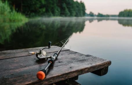 Cara Membuat Umpan Untuk Memancing Agar Mendapatkan Ikan Besar