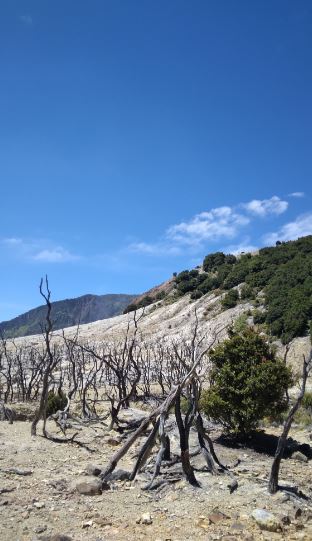 Deretan Wisata Populer Dari Kabupaten Garut Dengan View Indah