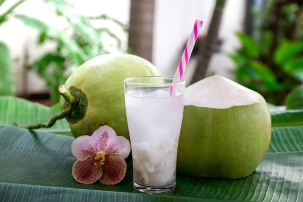 Air kelapa pelepas dehaga, inilah manfaat air kelapa muda bagi tubuh