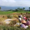Radar Garut