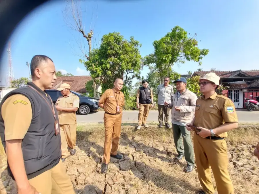 Kemarau Picu 176,80 Hektare Sawah Puso di Garut, Dispertan Siapkan Pemulihan untuk Petani istimewa