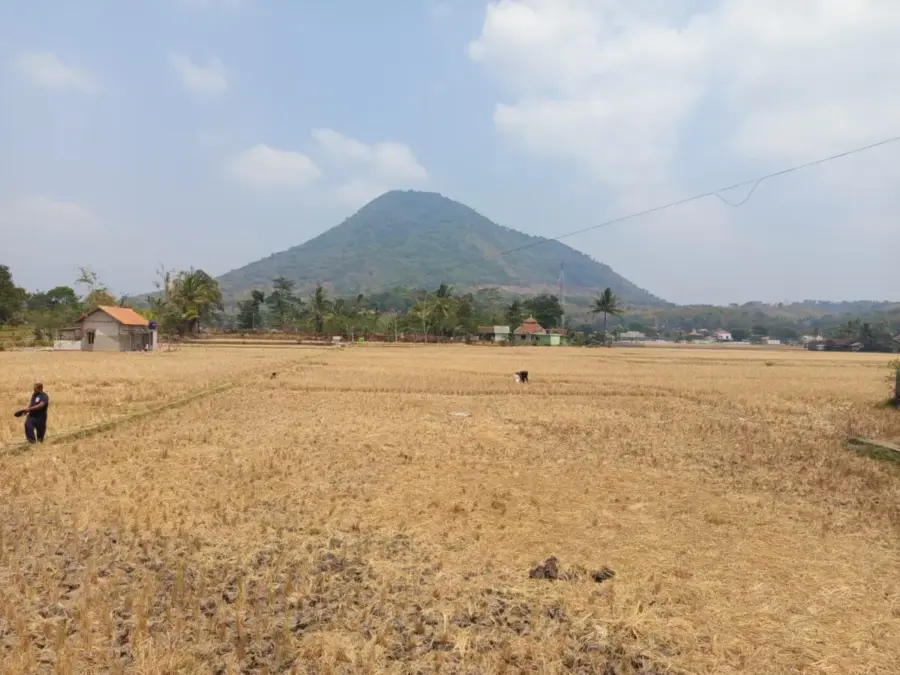 99 Tangki Air Bersih Didistribusikan ke 13 Kecamatan, BPBD Garut Catat Penyaluran Capai 497 Ribu Liter Radar Garut
